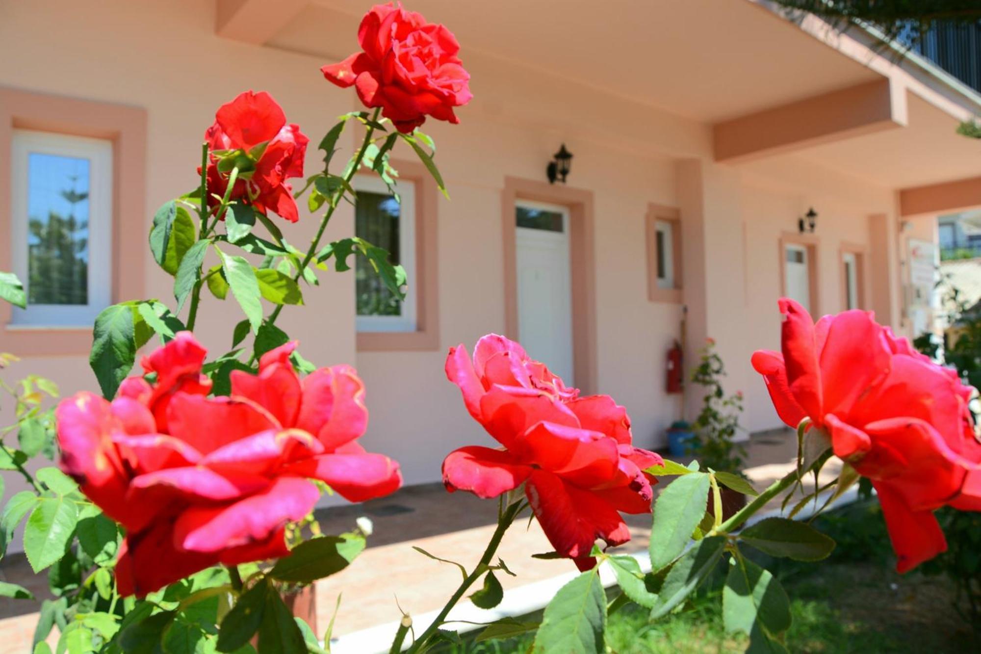 チィリヴィRed Rose Gardenアパートメント エクステリア 写真